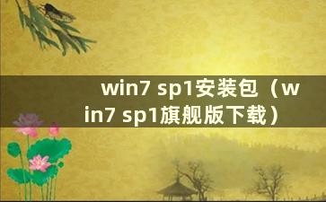 win7 sp1安装包（win7 sp1旗舰版下载）
